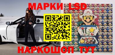 apvp Бийск