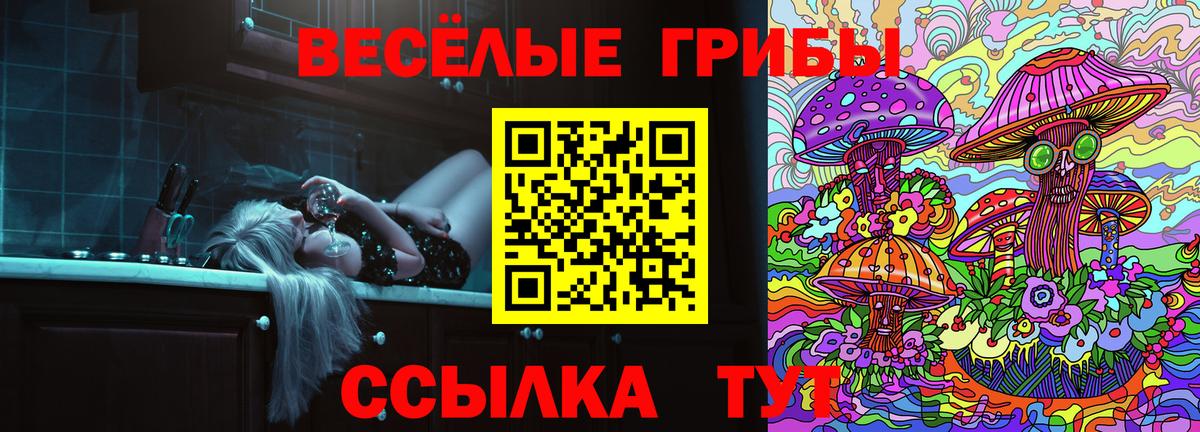 Псилоцибиновые грибы мицелий  Вход с VPN  Избербаш 